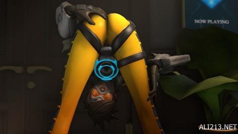 在篮球市场 在篮球市场