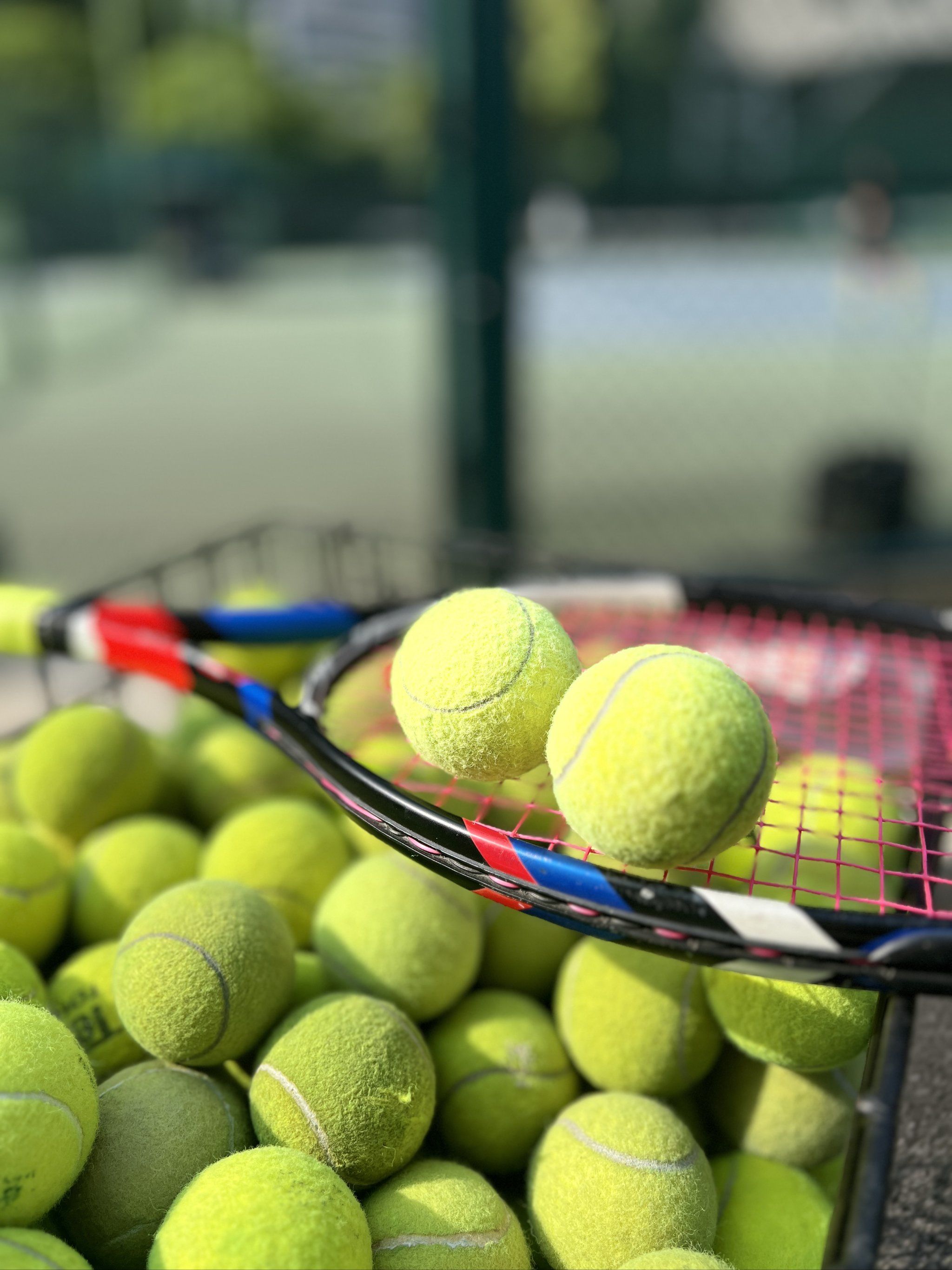 进高水平球 进高水平球