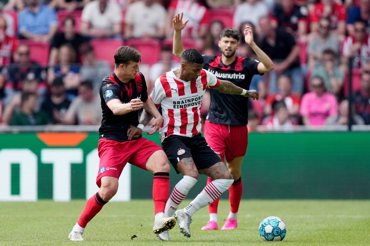 球迷们在同 球迷们在同