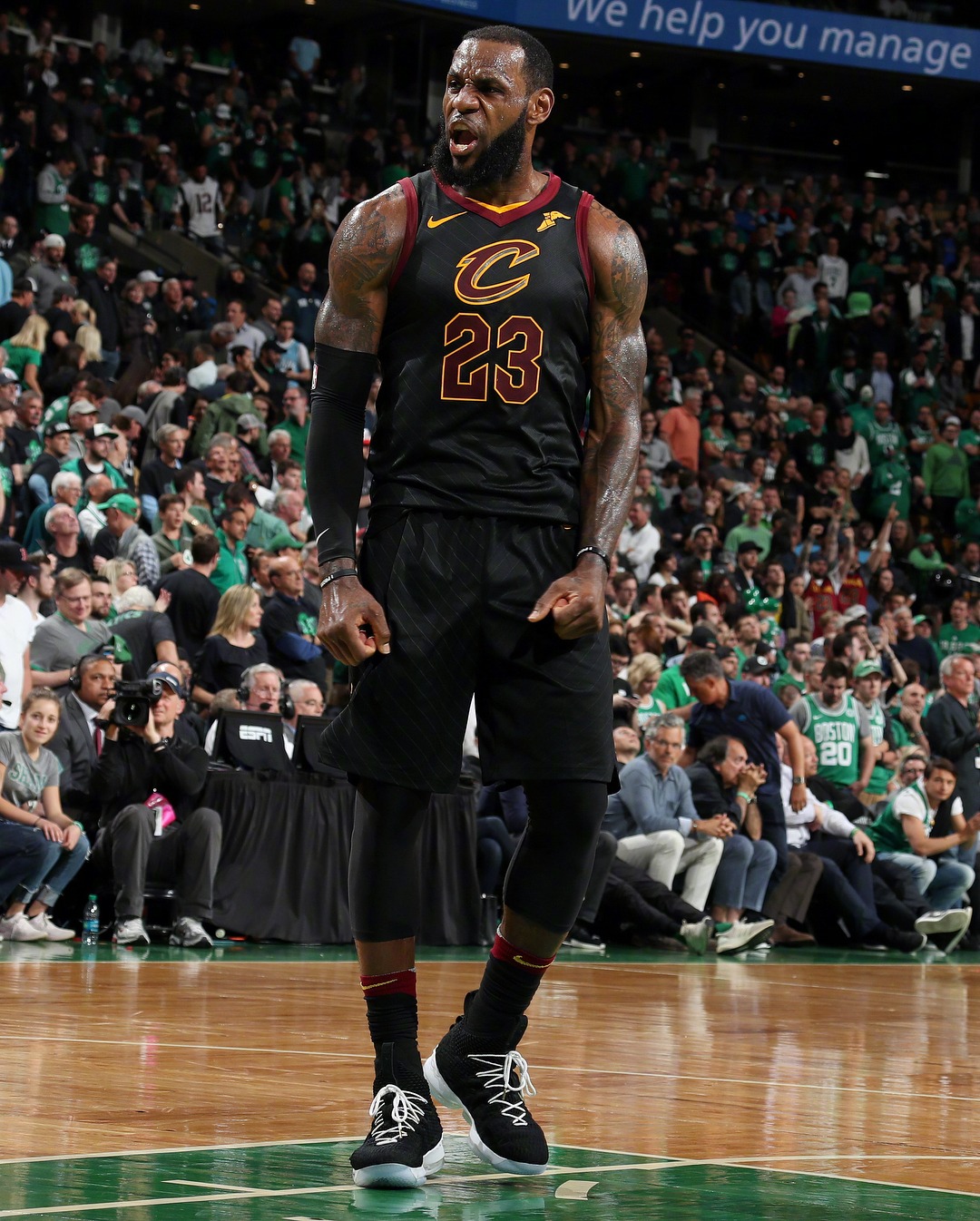 多点比对 多点比对