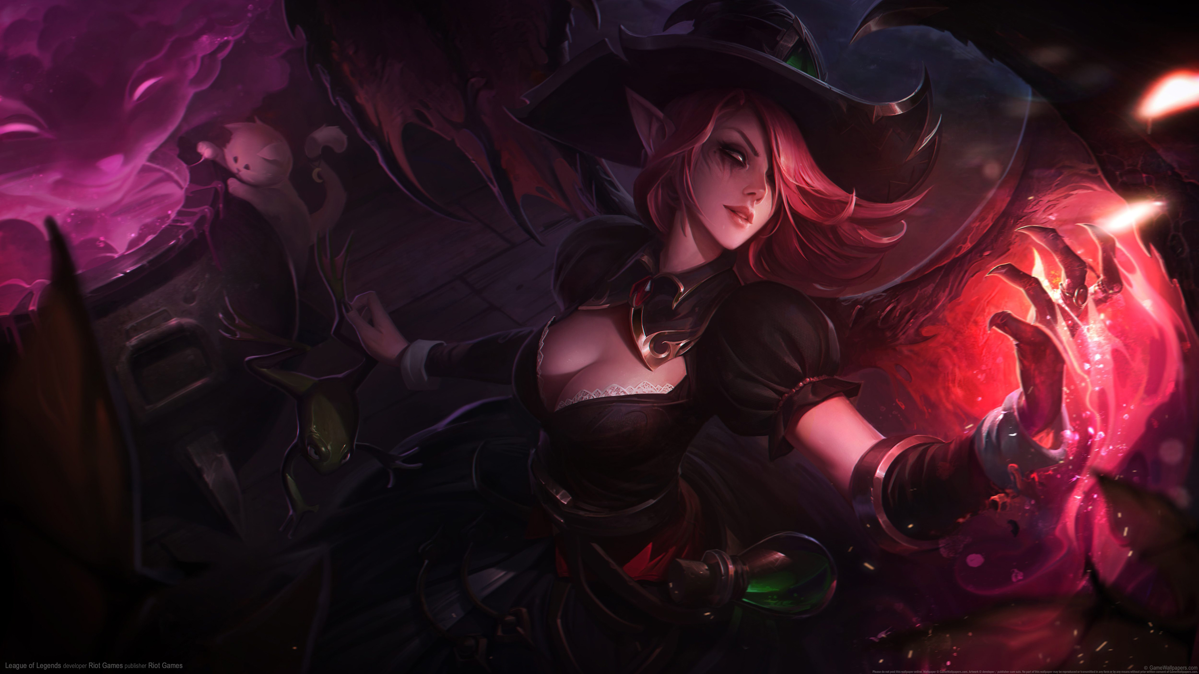 聚焦DH岗 聚焦DH岗